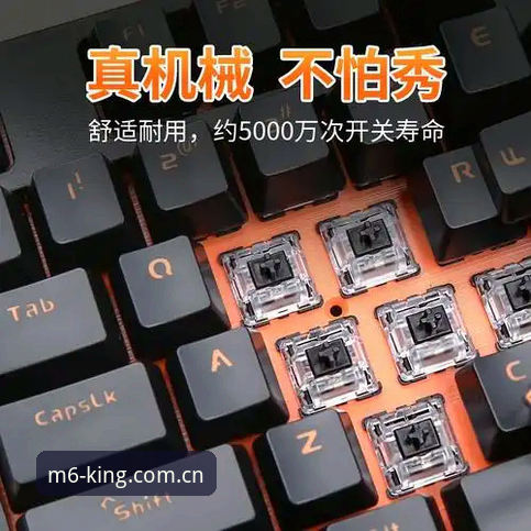 M6体育平台入口服务全面解析：M6B3最新地址背后的跨端体验升级与行业趋势